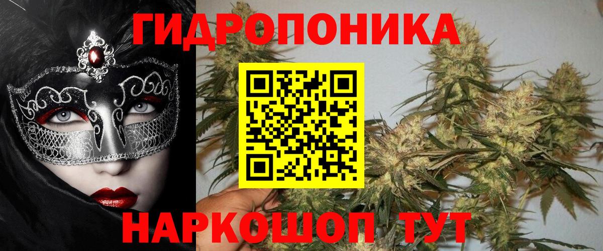 Шишки марихуана ГИДРОПОН  Бошки Шишки марихуана  Вход с VPN  Среднеуральск  Канабис AK-47  Конопля индика 